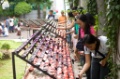 Votive Candles, Basilica Minore del Santa Nino, Philippines, 2008 O5H8967